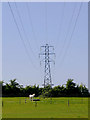 White horse under the power lines