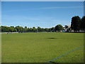 Playing fields off Timber Pond Road