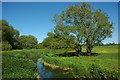 Bow Brook at Defford