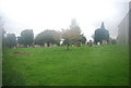 Graves, Holy Trinity, Rudgwick