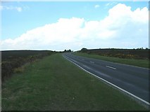 SE9499 : A171 towards Whitby by JThomas