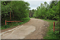 Road into the forest on Blue Hill