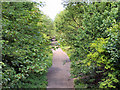 Disused Railway from Walkden Road