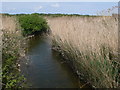 River Braint at Dwyran