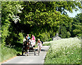 2010 : A happy band of travellers near Eastleigh Farm