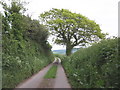 Country Lane, near Idestone Cross