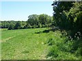 Footpath, Cowdown