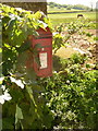 Batcombe: postbox № DT2 28 and a horse