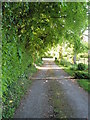 Footpath from All Saints, StokeWake to the Bulbarrow Road