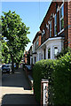 The odd houses on Lime Grove