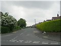 Sturton Avenue - Sturton Lane