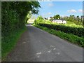 Road at Sallaghy