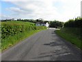 H3729 : Road at Sallaghy by Kenneth  Allen