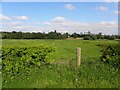 Drumlone Townland