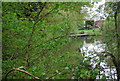 Lake through the trees, Newhouse Farm