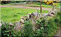 Drystone wall near Saintfield