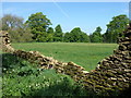 Great Tew Park