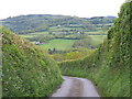 Looking across the Teign Valley, near Leigh Cross