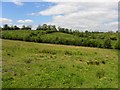 Kilnakirk Townland