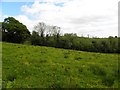 Killylacky Townland