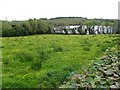 Killylacky Townland