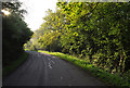 Whitecross Lane - Willoughby Gorse