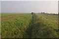 Ditch with hedge - Willoughby Gorse