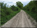 South Downs Way on Holden Lane