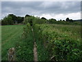 Clarendon Way leading towards Pitton