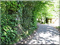 Entrance to Blackboys youth hostel