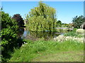 Pond, bridge and an island at Lower Netley Farm