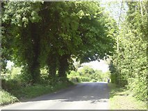 N8757 : Country Road, Co Meath by C O'Flanagan