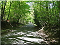 Gun Road climbing through Shawford Wood