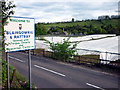 Polytunnels at Blairgowrie