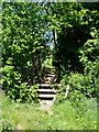 Footbridge over a stream