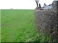 Footpath near Whitley