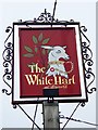 Sign for the White Hart