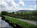 Canal towpath