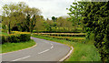 The Creevytennant Road near Ballynahinch