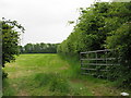 Gateway into field by Hill Ash Farm