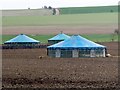 Pig houses near Calstone Wellington