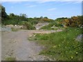 N8553 : Disused Quarry, Co Meath by C O'Flanagan