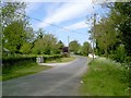 N8355 : Country Road, Co Meath by C O'Flanagan