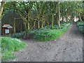 SN5403 : West entrance of Troserch Woods by Nigel Davies