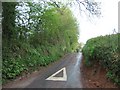 Road leading north to Woodmanton