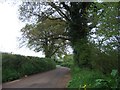 Road leading east towards Lympstone Common