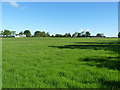 Open fields south of Harriot