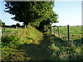 Footpath 2997 on track north of Ancton Lane