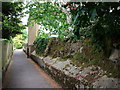 Footpath between Elmbank Road and Monmouth Close