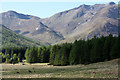 Rough grazing in Glen Etive